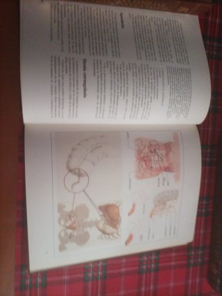 ENCICLOPEDIA DE MEDICINA , 5 LIBROS