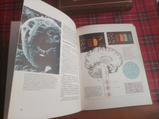 ENCICLOPEDIA DE MEDICINA , 5 LIBROS