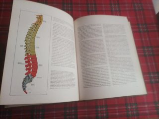 ENCICLOPEDIA DE MEDICINA , 5 LIBROS