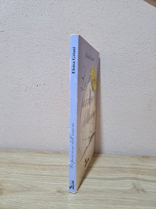 Le posizioni dell'amore