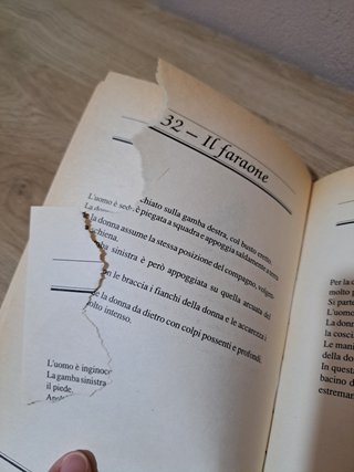 Le posizioni dell'amore