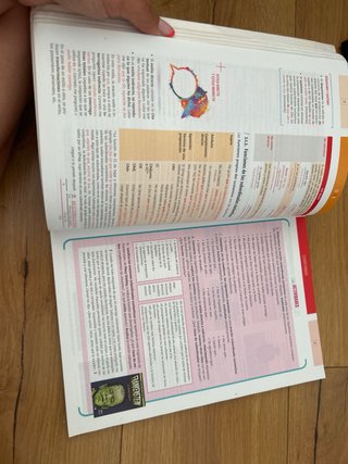 Lengua castellana y literatura II, 2 bachillerato