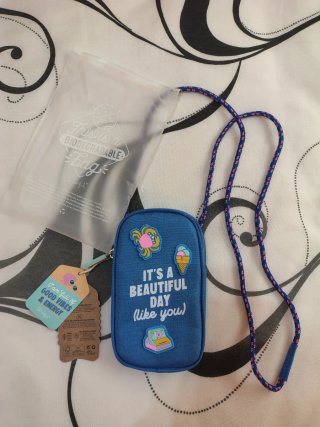 Bolsito Mr. Wonderful azul con parches