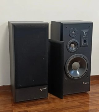 Pareja Altavoces: Studio Monitor Infinity SM120