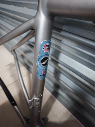 Cuadro Giant TCR Plata y Amarillo