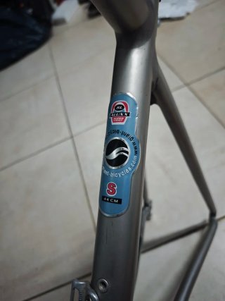 Cuadro Giant TCR Plata y Amarillo