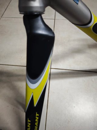 Cuadro Giant TCR Plata y Amarillo