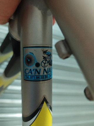 Cuadro Giant TCR Plata y Amarillo