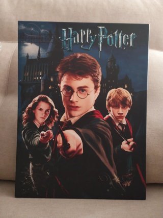 Lienzo Harry Potter