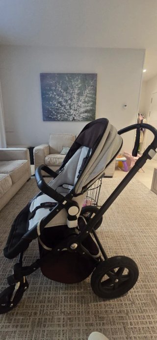 Bugaboo Camaleon Edición Limitada