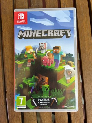 Minecraft Nintendo Switch