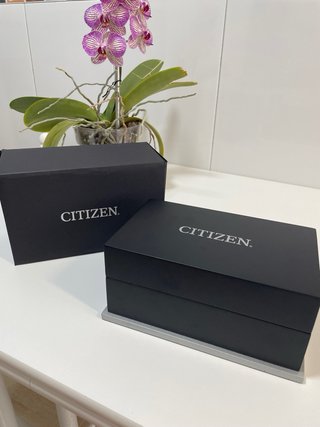 Citizen Tsuyosa Time-Slip Reloj Edición Limitada