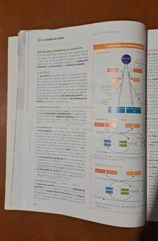 Libro Biología,GeologíayCienciasAmbientales 1°Bach