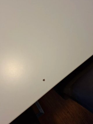 Mesa de comedor o escritorio con altura ajustable