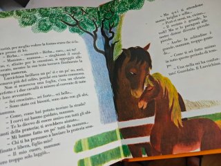 Libro vintage Birba Cavallino selvaggio
