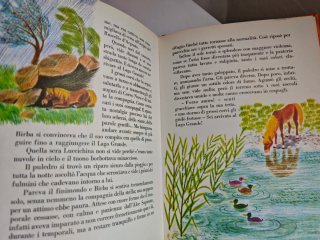 Libro vintage Birba Cavallino selvaggio