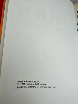 Libro vintage Birba Cavallino selvaggio