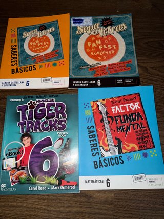 Libros de 6 de primaria