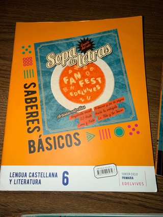Libros de 6 de primaria