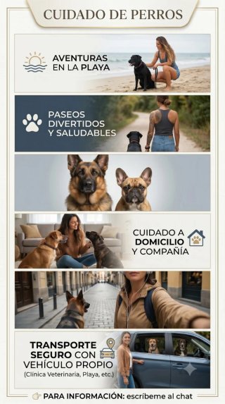 Paseos y Cuidado de perros