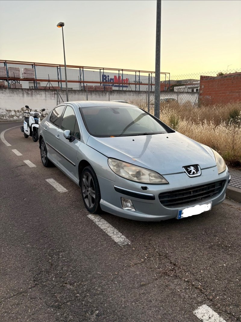 Peugeot 407 2005 - foto 1