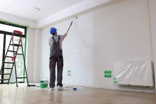 Pintor profesional económico
