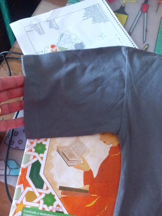 Camiseta Lefties niño gris estampado tigre