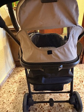 Carro bebé Asalvo