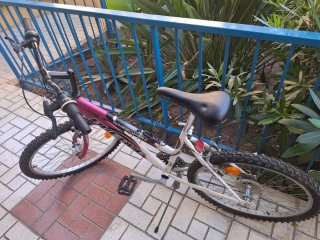 Bicicleta de Montaña Avenue