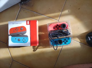 Mandos Nintendo Joy-Con Pad (L)/(R)