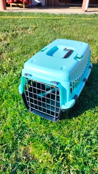 Lote transportín mascotas