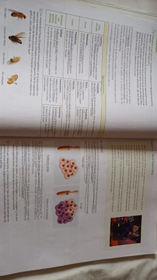 Biología y Geología, 4 Secundaria, Andalucía Re...