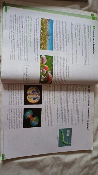 Biología y Geología, 4 Secundaria, Andalucía Re...