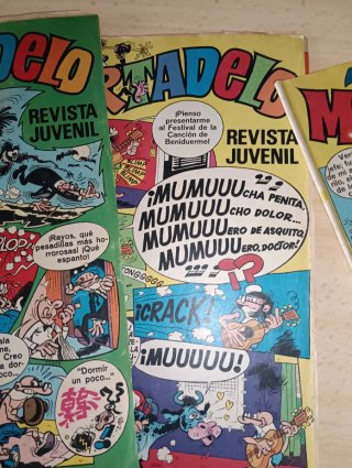 Lote (2) 12 revista semanal Mortadelo primeros 70.