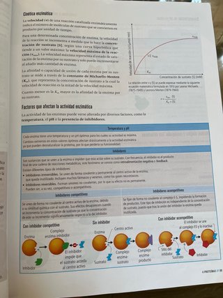 Proyecto: FanFest - Biología 2 Bachillerato