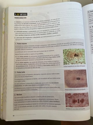 Proyecto: FanFest - Biología 2 Bachillerato