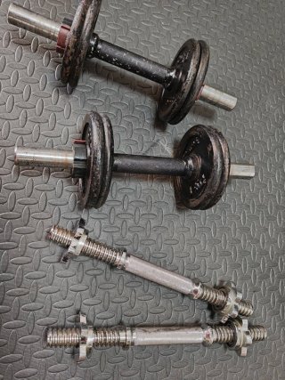 Discos de peso 10kg y mancuernas