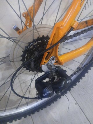 Bici Orbea Tuareg 2014