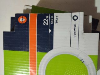 Lotto di 2 Lampadine Circolari OSRAM 22W G10q