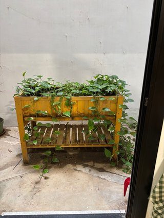 Jardinera de madera y plástico