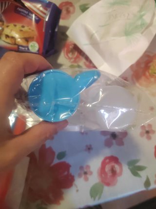 Accesorios para pájaros