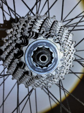 Rueda Mavic con buje Shimano y cassette