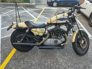 Harley Davidson XL 1200 . Algo negociable .