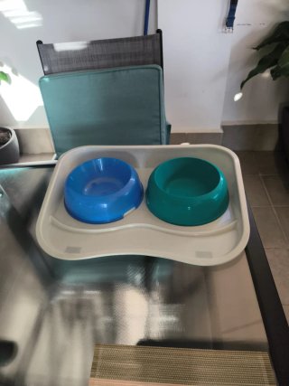 Bebedero y comedero para perros con bandeja