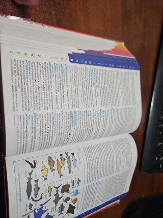 Diccionario Avanzado Primaria. Lengua española