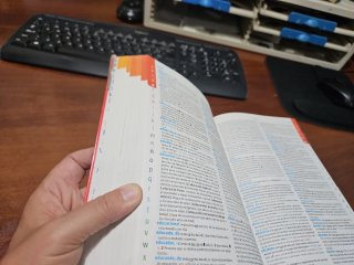 Diccionario Avanzado Primaria. Lengua española