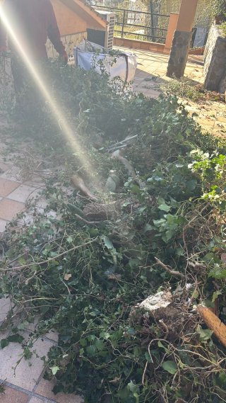 Jardinero profesional