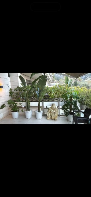Jardinero profesional