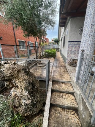 Jardinero profesional