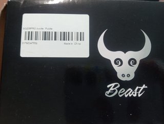 Coche RC ZLL Beast SG208PRO - Novo